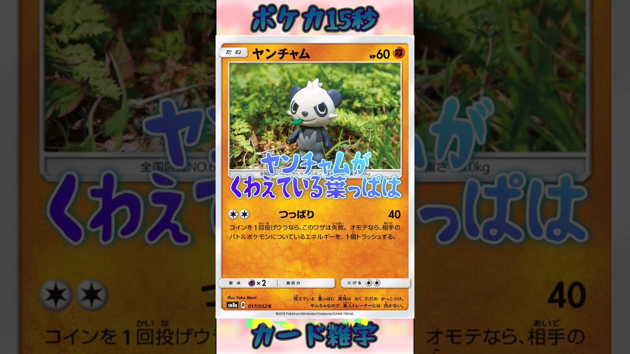 [ポケモンカード]ポケカ15秒雑学‼️ヤンチャム‼️