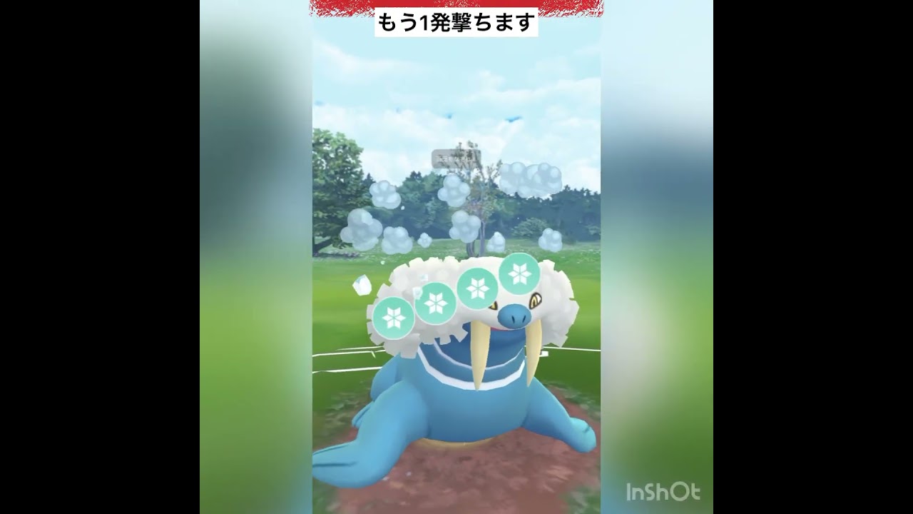 ファイアロー氷氷使ってみた‼️