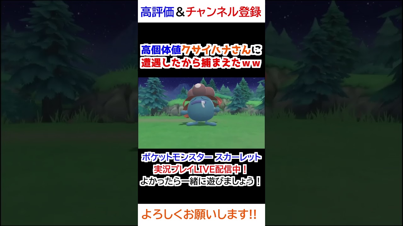 高個体値クサイハナさんに遭遇したから捕まえたｗｗ【ダイパリメイク】