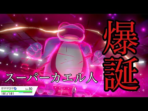 【ポケモン剣盾】ガマゲロゲアーマーガアが最強と思ったらガマゲロゲだけが活躍する事態に【Pokemon】