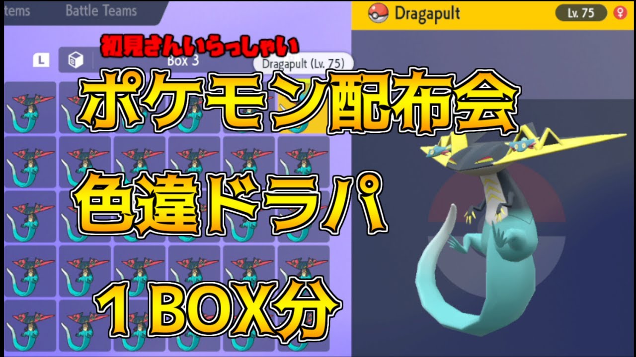 ポケモンSV 色違いドラパルト配布会 １Box分