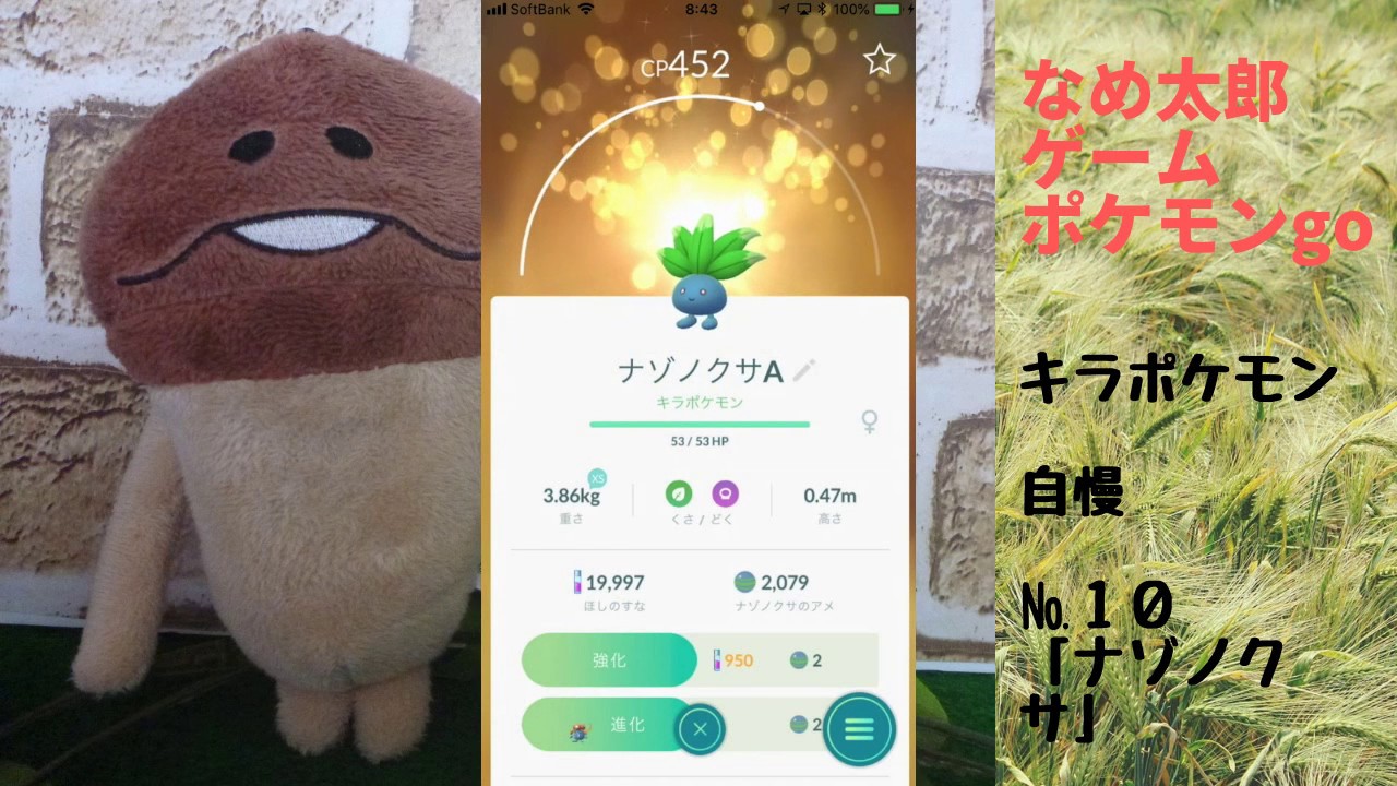 【ポケモンgo】なめ太郎のキラポケモン自慢コーナーナンバー１０、「ナゾノクサ」