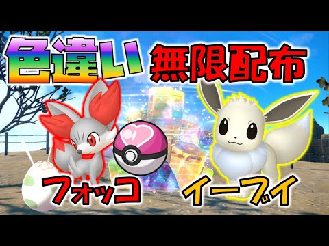 色違いフォッコ・イーブイ無限配布【ポケモンSV】