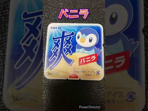 【ポケモン】爽　ポケモンコラボ　バニラ　ポッチャマ