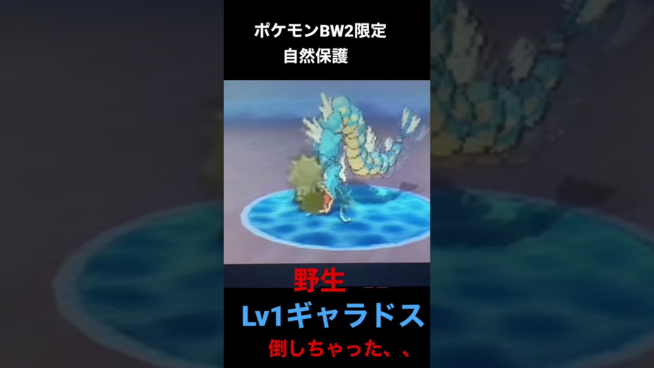 ポケモンbw2 野生レベル1ギャラドスを間違えて倒しちゃった#ポケモンbw2 #shorts