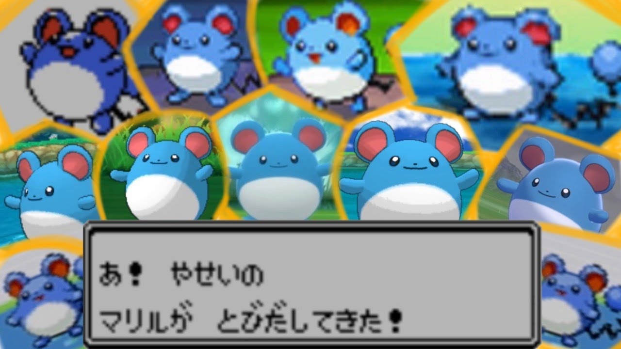 全地方！？マリルの生息地とそのモデル