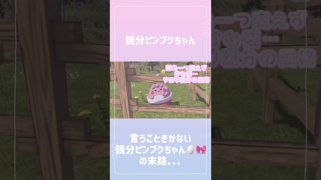 #ポケモンアルセウス 親分ピンプクちゃん 🥚🎀 かわいすぎやろ