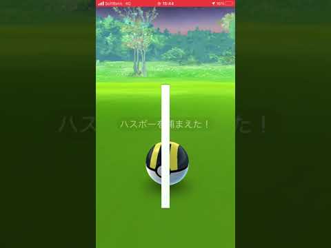 【ポケモンGO】色違い　ハスボー
