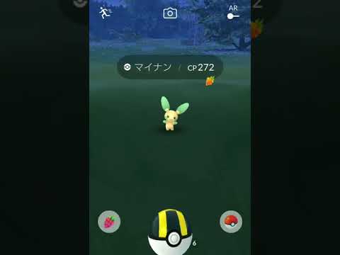 【Pokemon GO】Wailmer Minun ひかった！　マイナン色違い