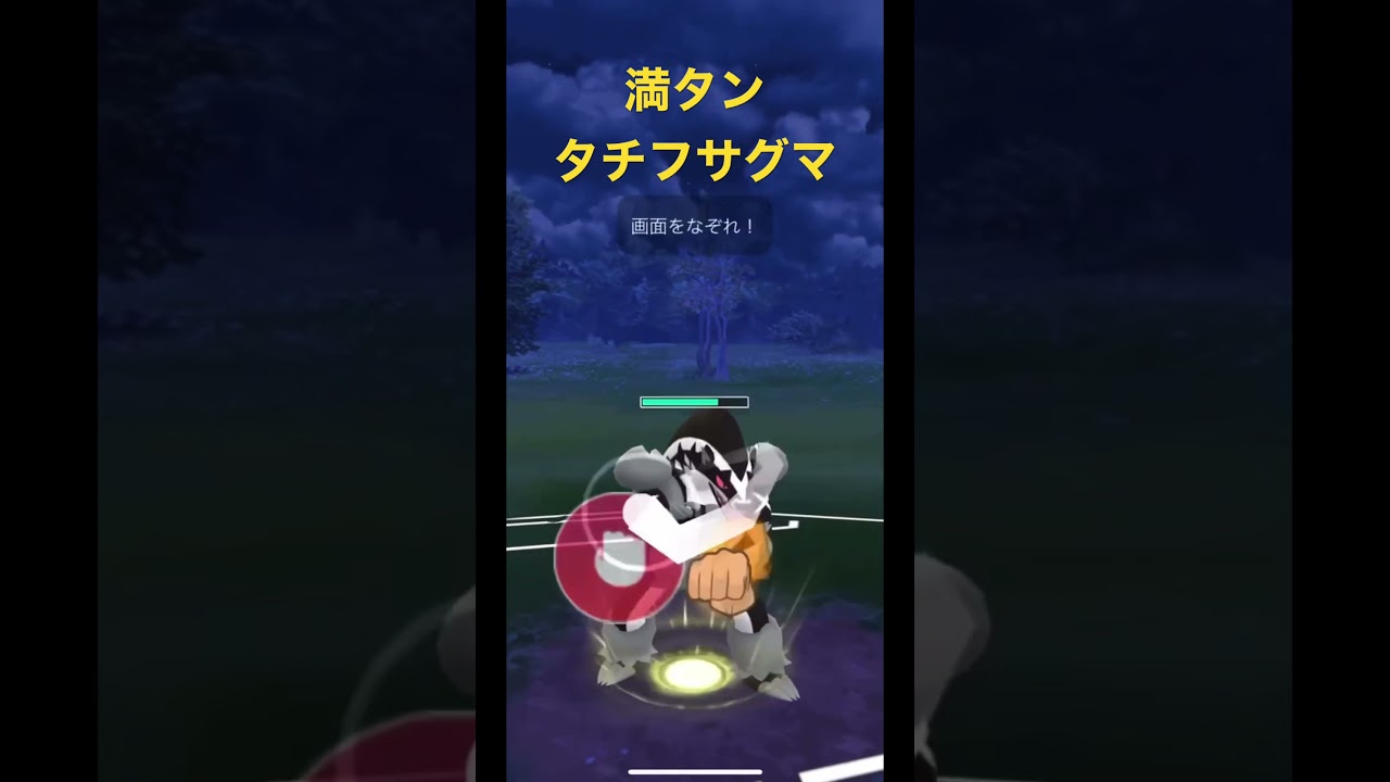 タチフサグマ満タン