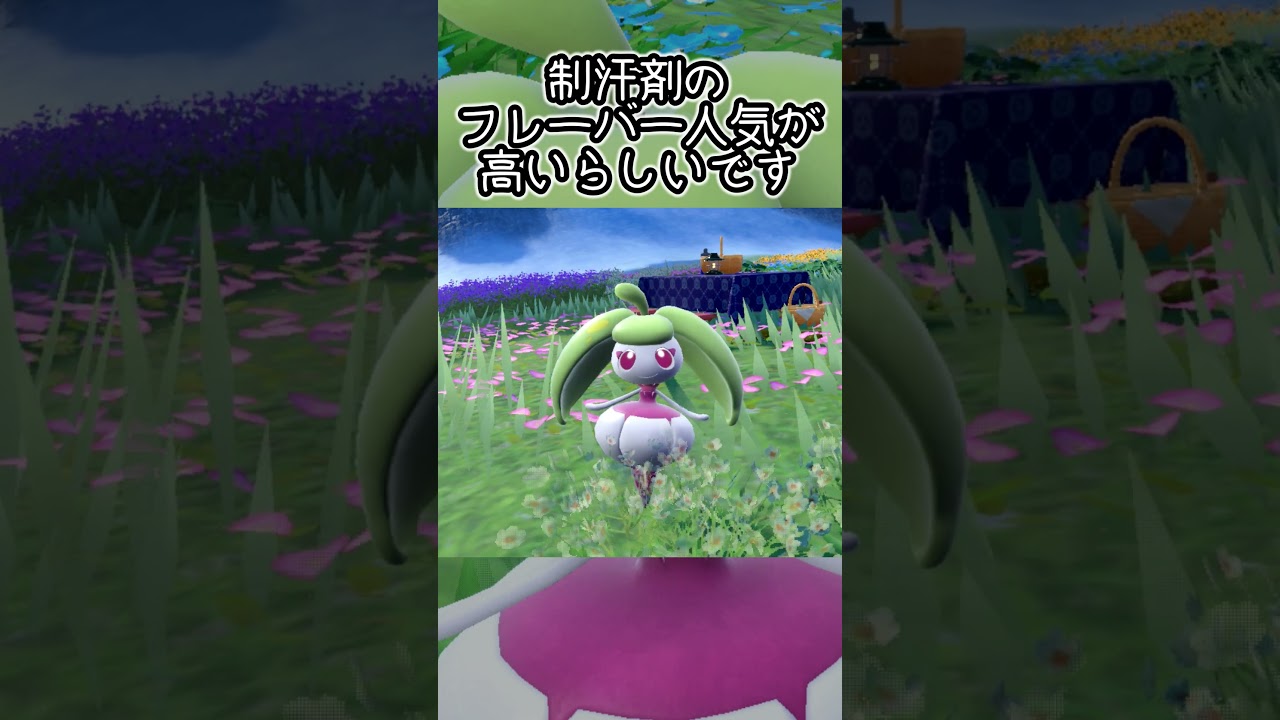 【疲れた人向け】アママイコ6匹とピクニック【ポケモンSV】#Shorts