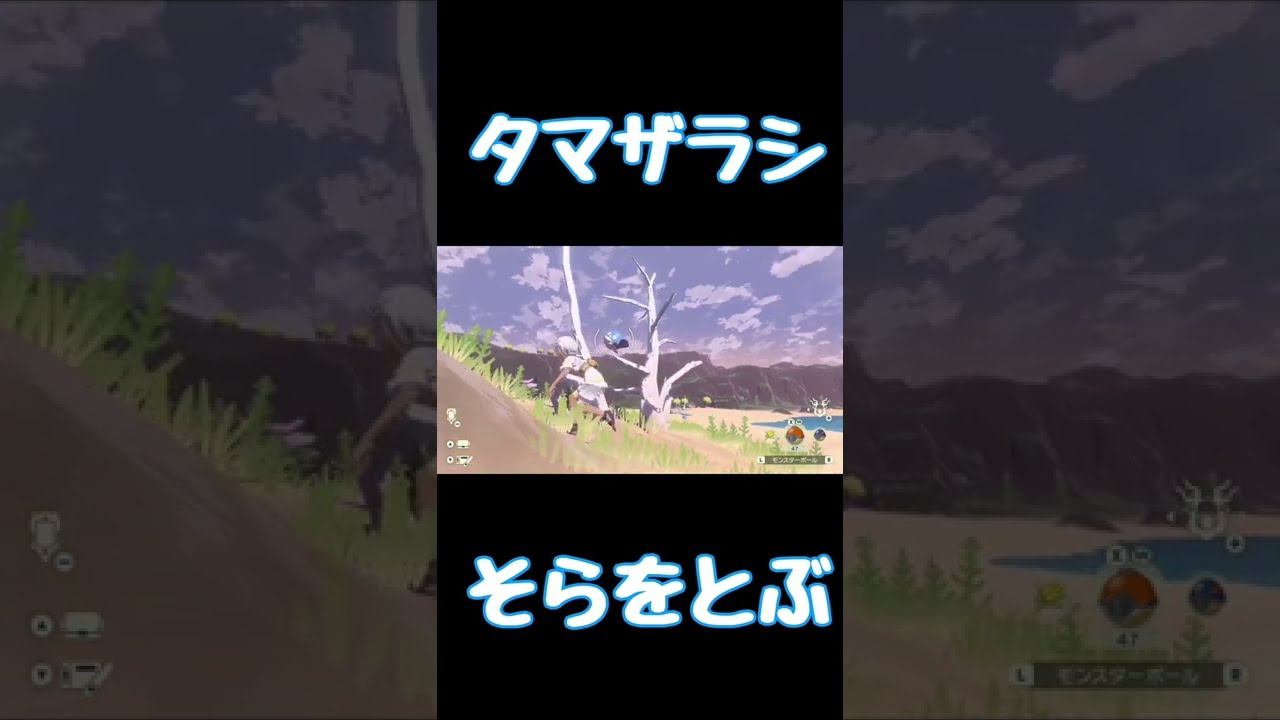 そらをとぶタマザラシが可愛すぎる【Pokémon LEGENDS アルセウス】#shorts