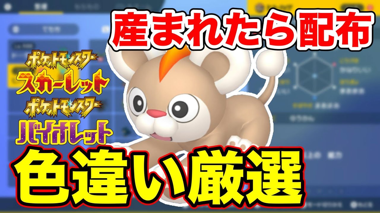 【ポケモンSV】産まれたら配布決定！色違いシシコ孵化厳選【スカーレットバイオレット】