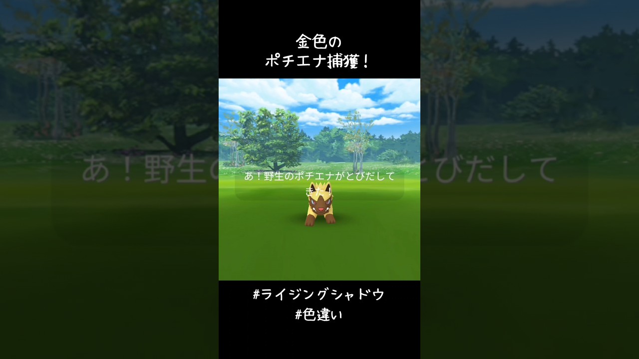 金色のポチエナ捕獲✨✨✨かわいい😍#ポケモンGO #ライジングシャドウ #色違い