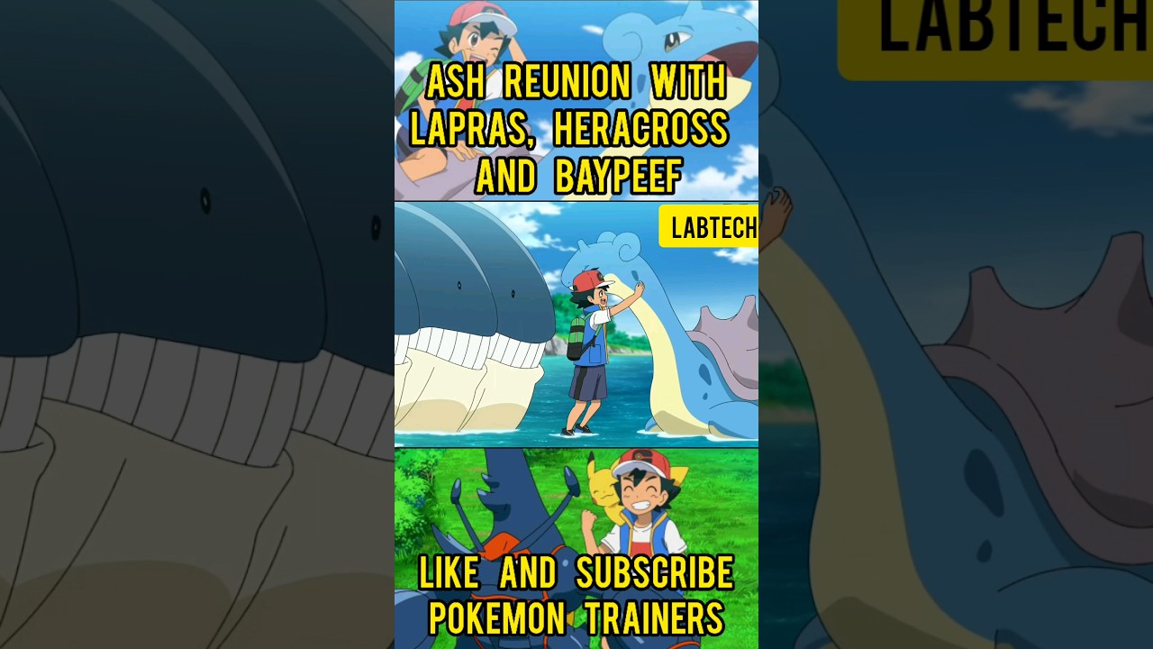 Ash Reunite With Lapras, Heracross And Bayleef #pokemon #pokemonjourneys #shorts #lapras #reunion