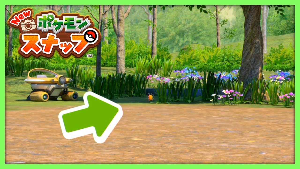 ついにデデンネとの邂逅を果たした【New ポケモンスナップ #4】