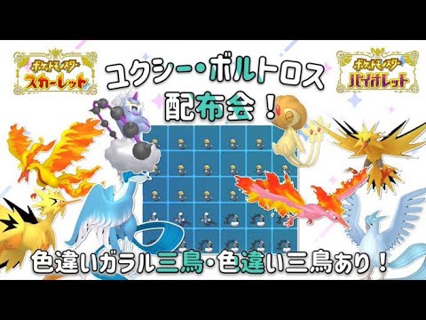【ポケモンSV】ボルトロス＆ユクシー1BOX配布！色違いガラル３鳥、色違い3鳥、ヒスイ系１BOX配布！（色違いヒスイダイケンキ、ヒスイクレベース、ヒスイヌメルゴン、ヒスイウォーグル）
