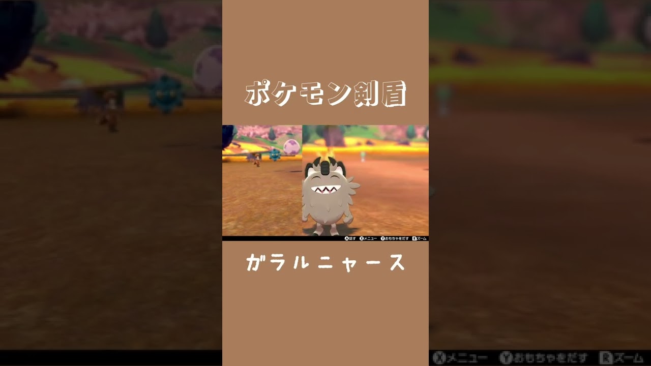 【ポケモン剣盾】きょろきょろるんるんガラルニャース #shorts