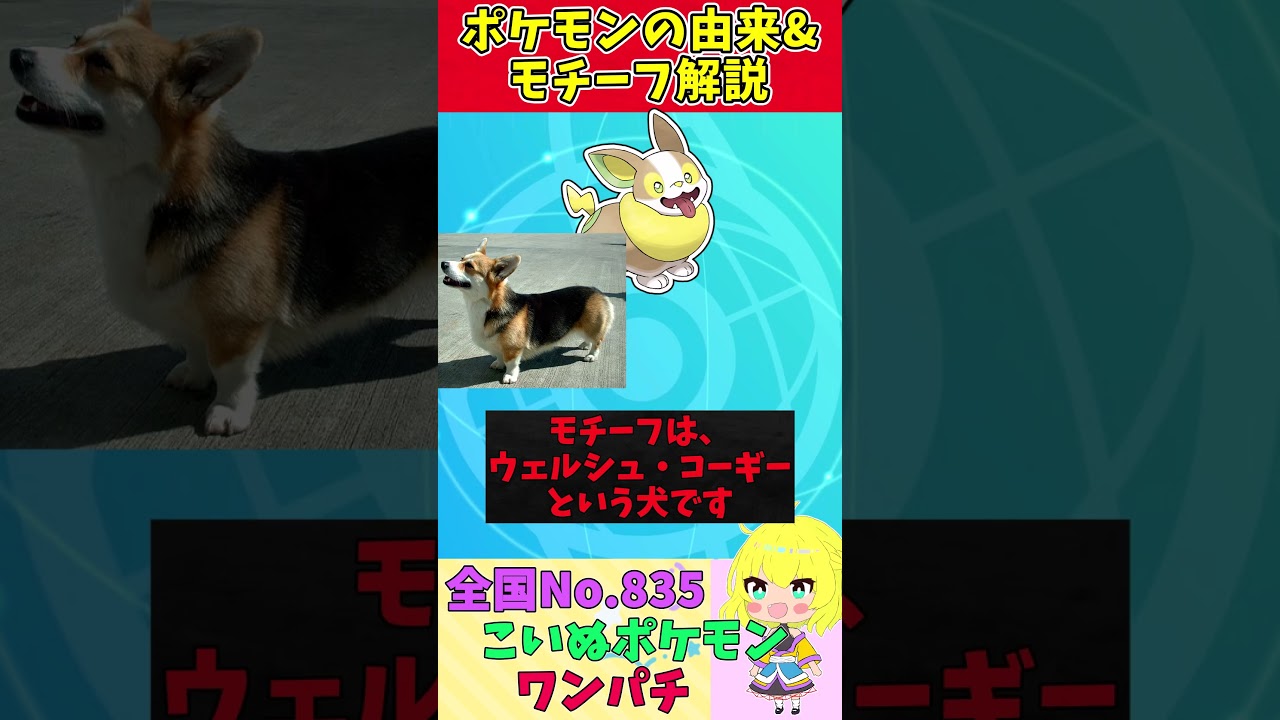 【図鑑No.835 ワンパチ】ポケモン名前の由来&モチーフをゆっくり解説 【ガラル地方】【第8世代】【剣盾】 #shorts