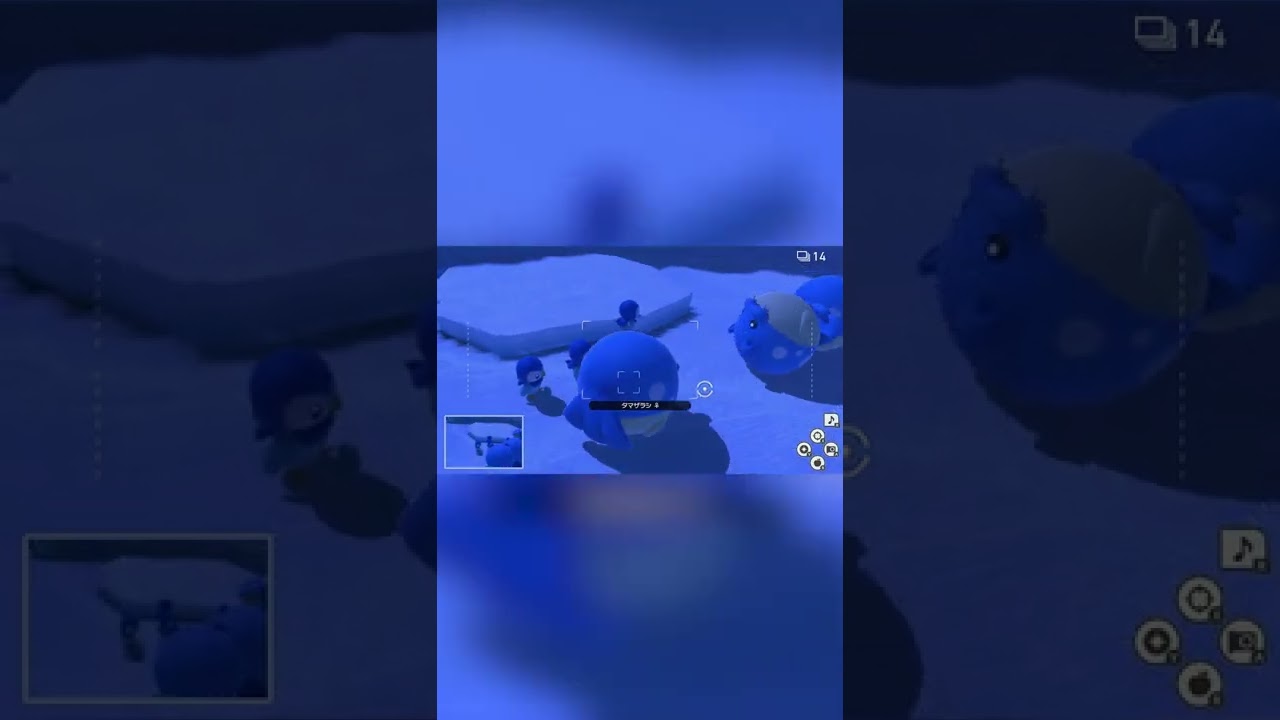 【Newポケモンスナップ NEW POKÉMON SNAP】逃げ惑うタマザラシ（大袈裟） #shorts