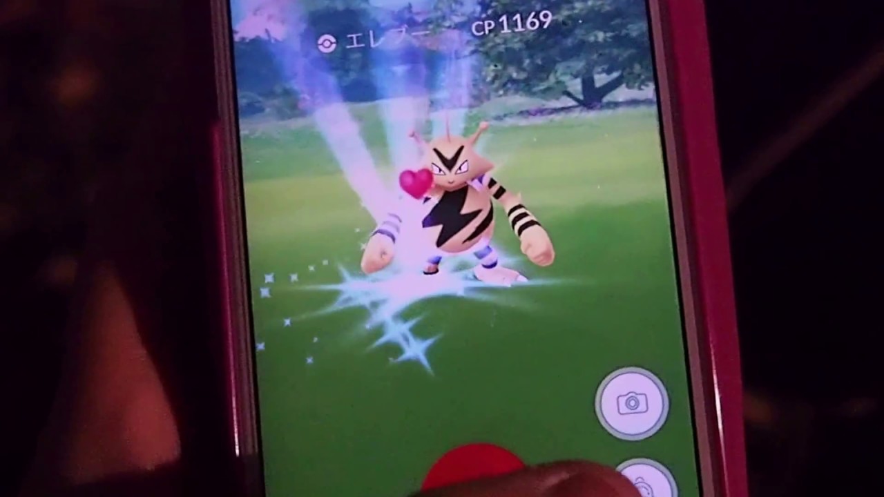 【ポケモンGO】エレブーと戯れてきました【日比谷公園2016.12.13】