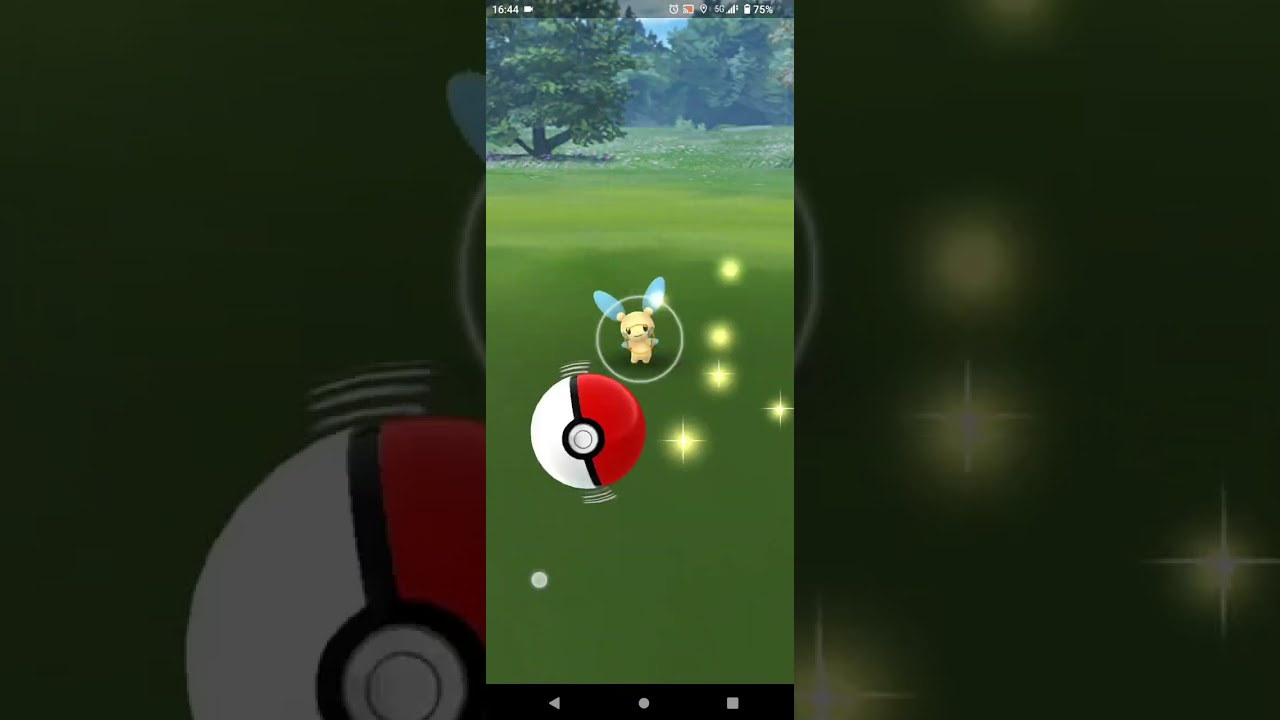 【ポケモンGO】マイナンGET！#ポケモンgo #ポケモンgo好きな人と繋がりたい