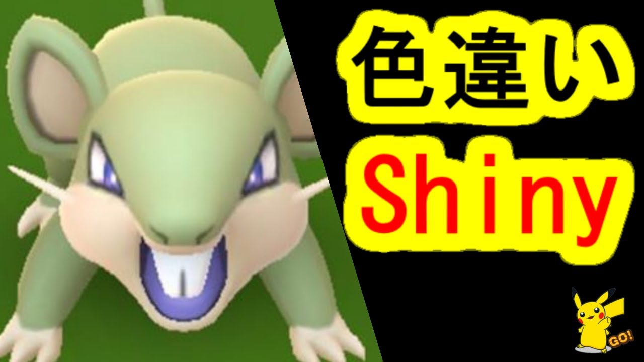 コラッタの色違い(ポケモンGO、PokemonGO、Shiny)