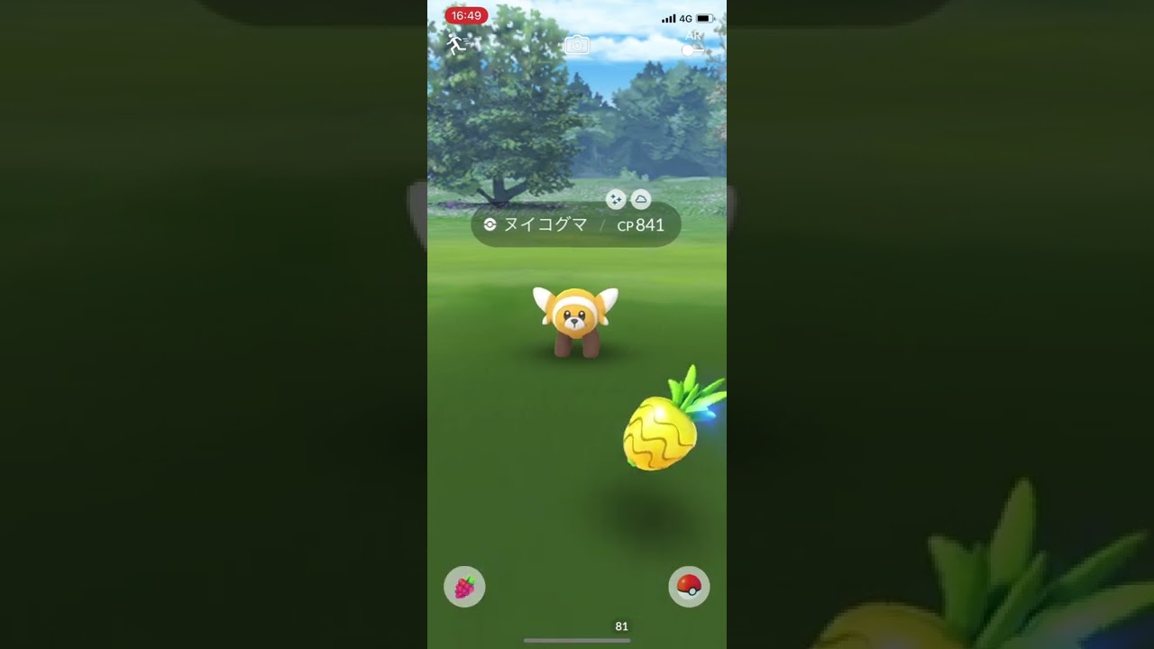 ポケモンGO色違いヌイコグマ