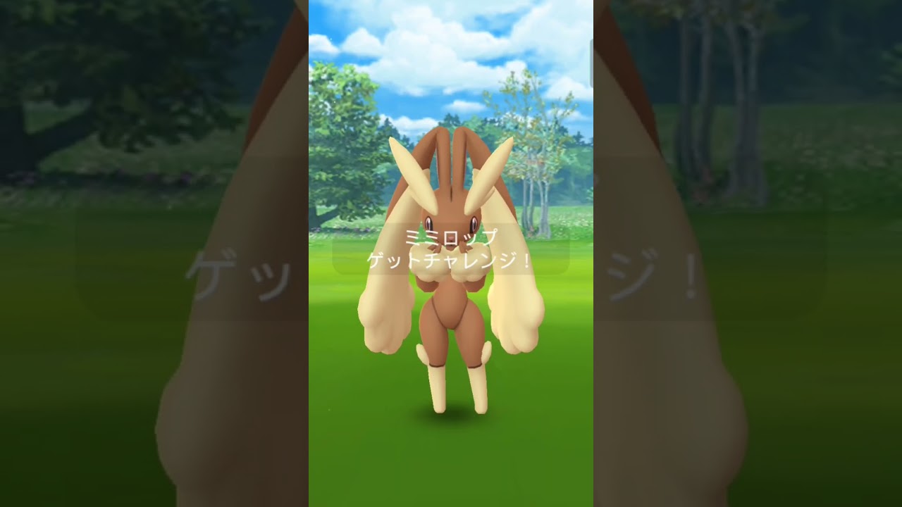 【Pokémon GO】Raid battle/Lopunny/ポケモンGO/レイドバトル/メガミミロップ