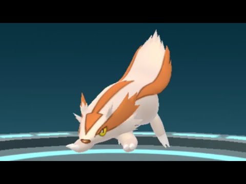 ポケモンGO  色違い マッスグマ