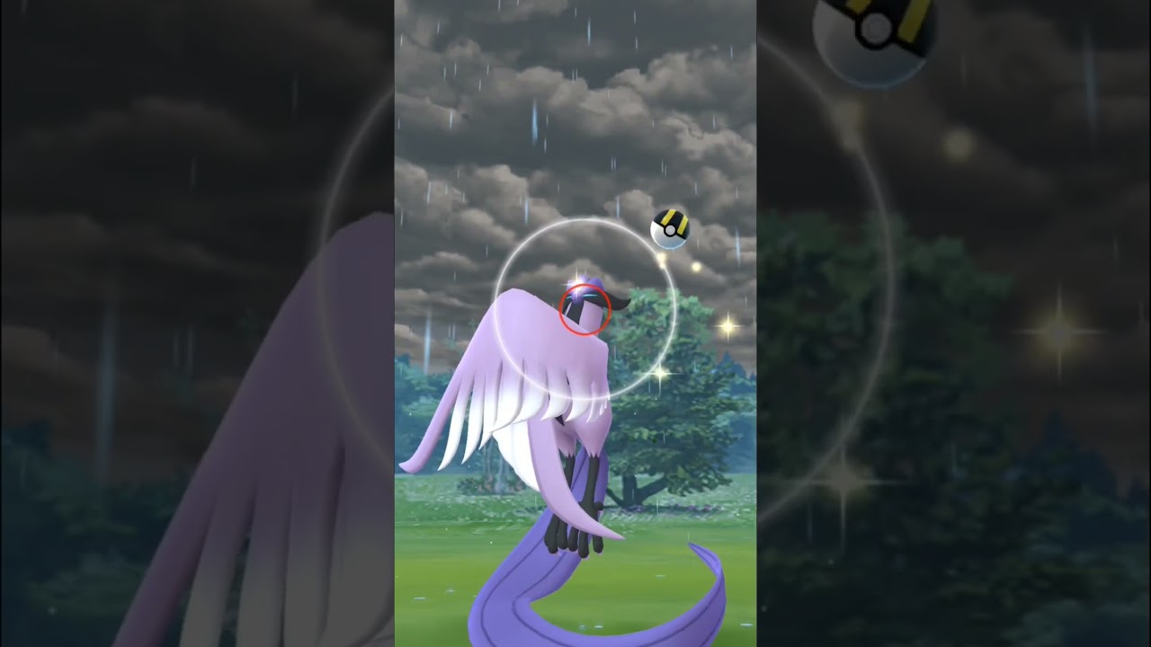 【ポケモンGO】ガラルフリーザーゲットなるか！？#ポケモン #ポケモンgo #おさんぽおこう #ガラル三鳥#ガラルフリーザー#shorts