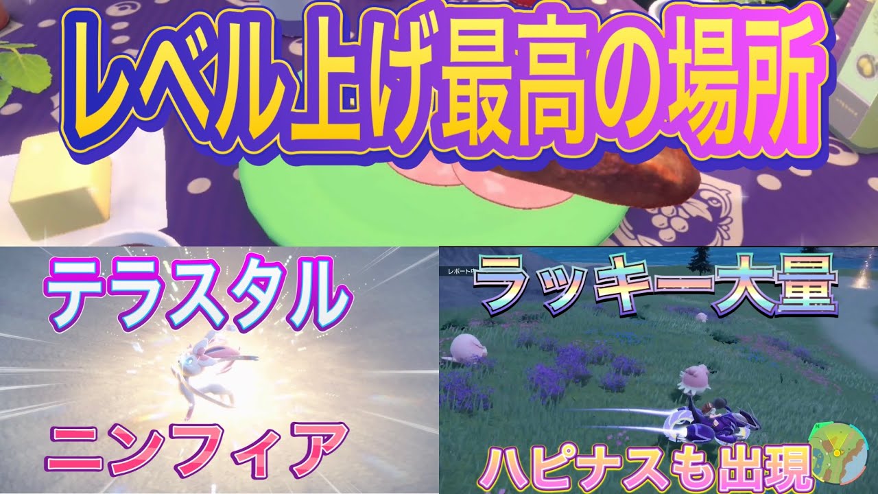 【ポケモンSV】レベル上げ効率大‼︎ ラッキー大量発生のやり方、ニンフィアも出てきます！
