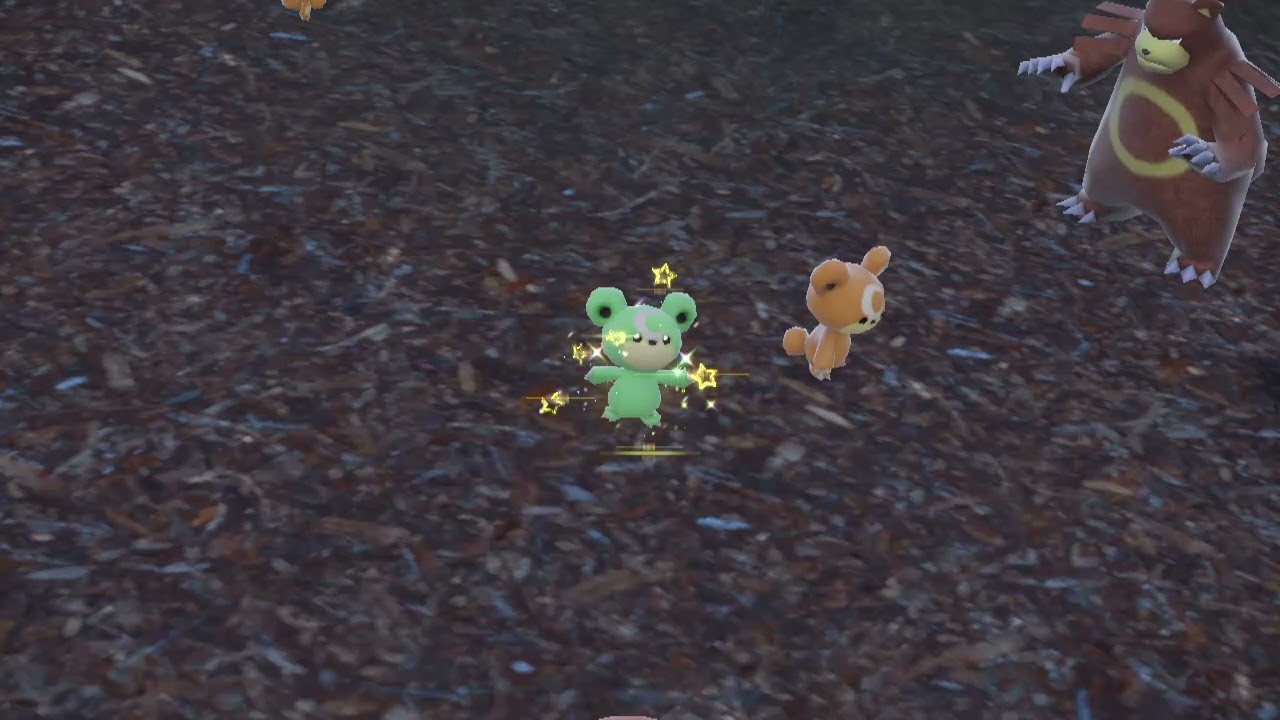 【ポケモンSV】ヒメグマ　色違い