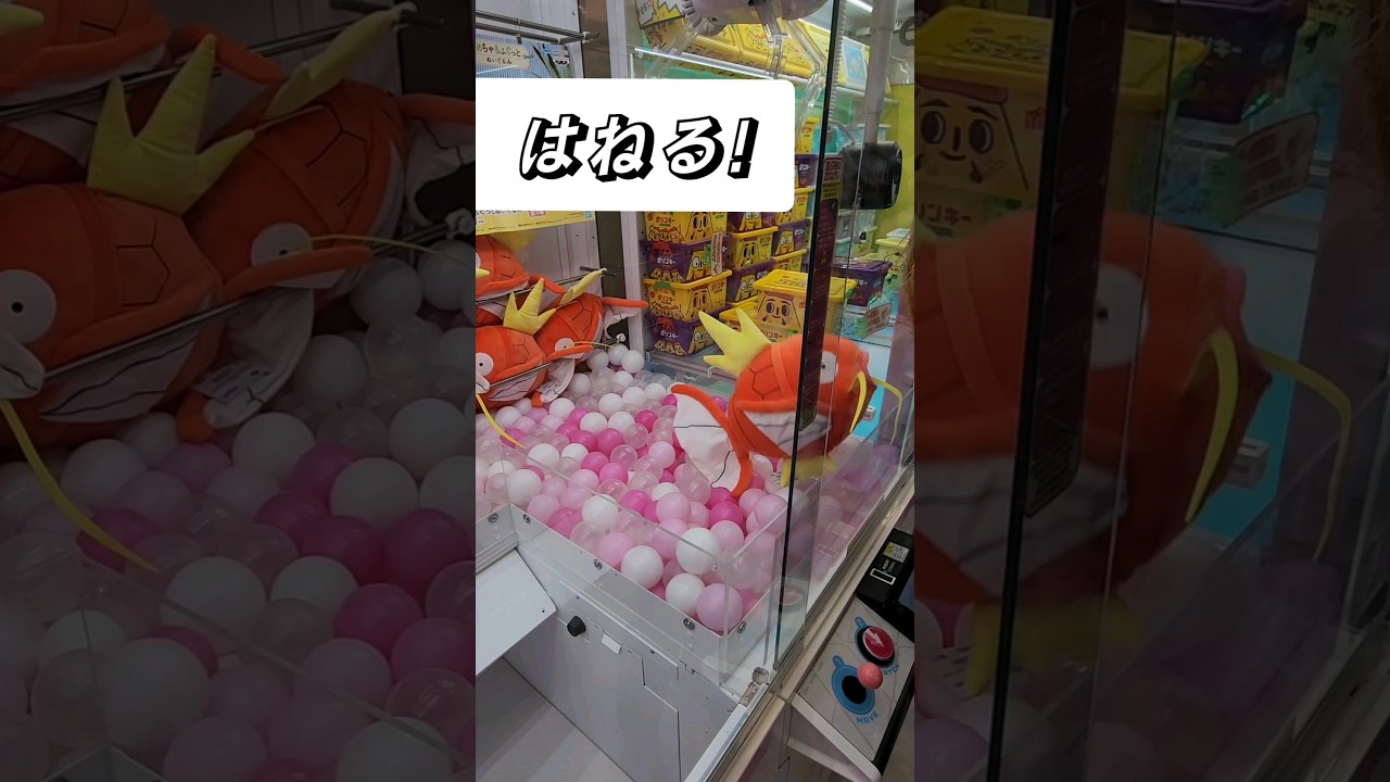 [クレーンゲーム] コイキング狙って捕獲しようとしたらガチで生きてたww #shorts #いるくん  #クレーンゲーム #コイキング #ポケモン