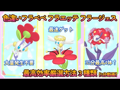 最高効率色違いフラベベ＆フラエッテ＆フラージェス厳選方法3種【５分動画】 #ポケモンsv #最高効率 #色違い #フラベベ #フラエッテ #フラージェス #大量発生不要 #ピクニックなし