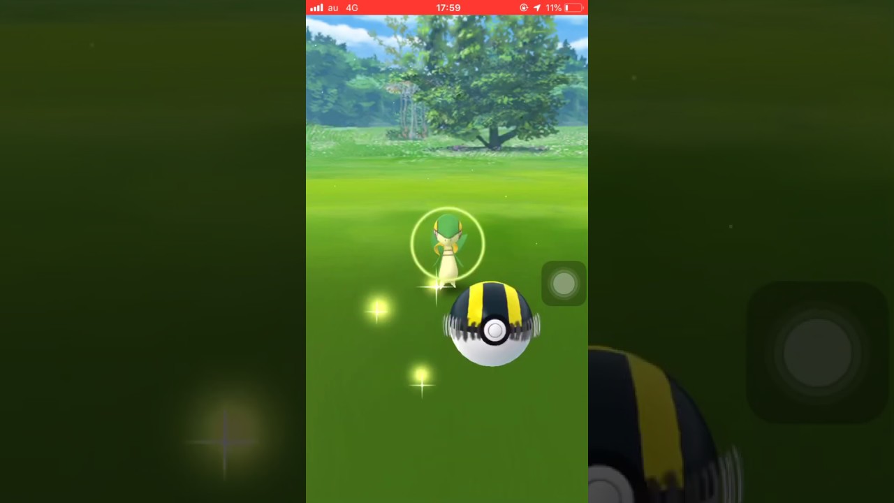 【ポケモンGO】ツタージャ出現ゲットなるか！？