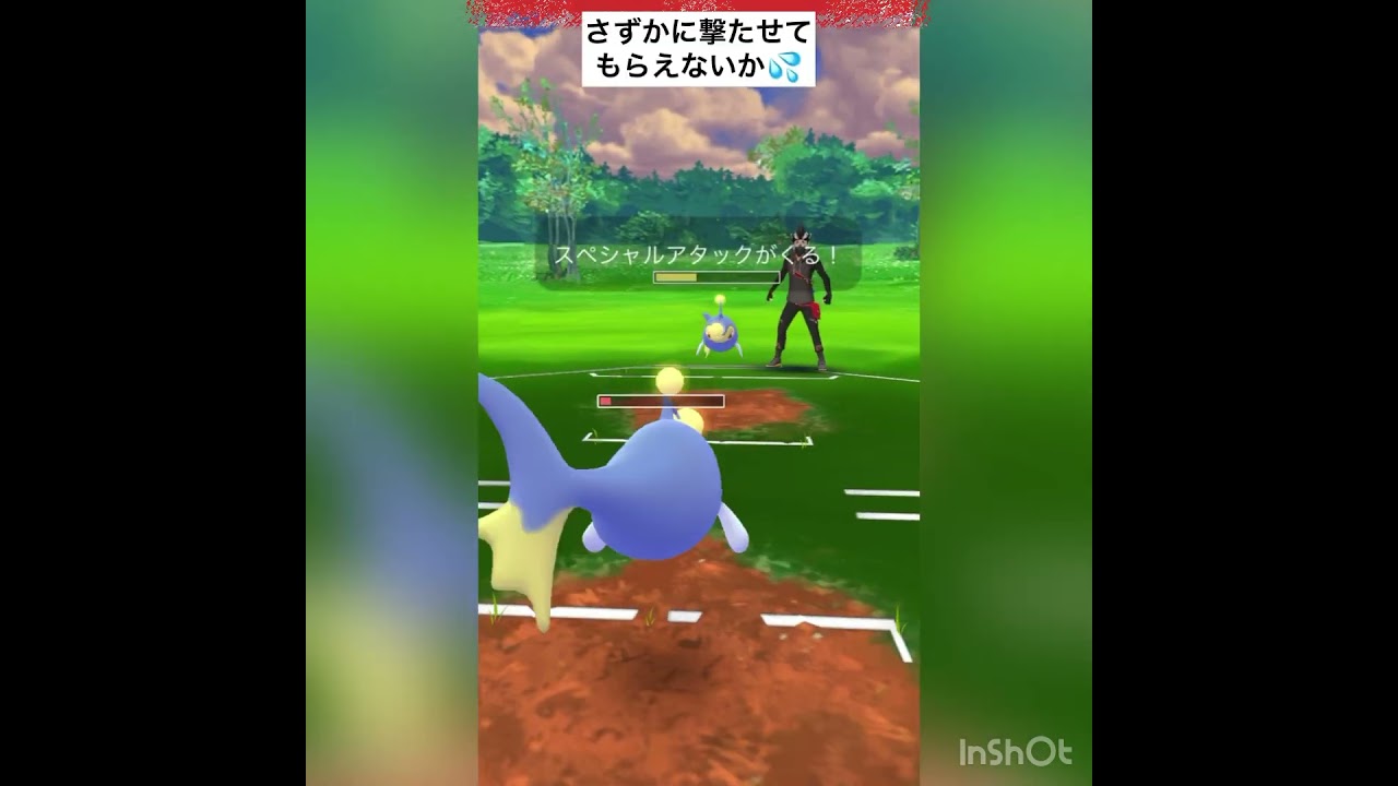 （速成カップ）ハクリュー使ってみた‼️