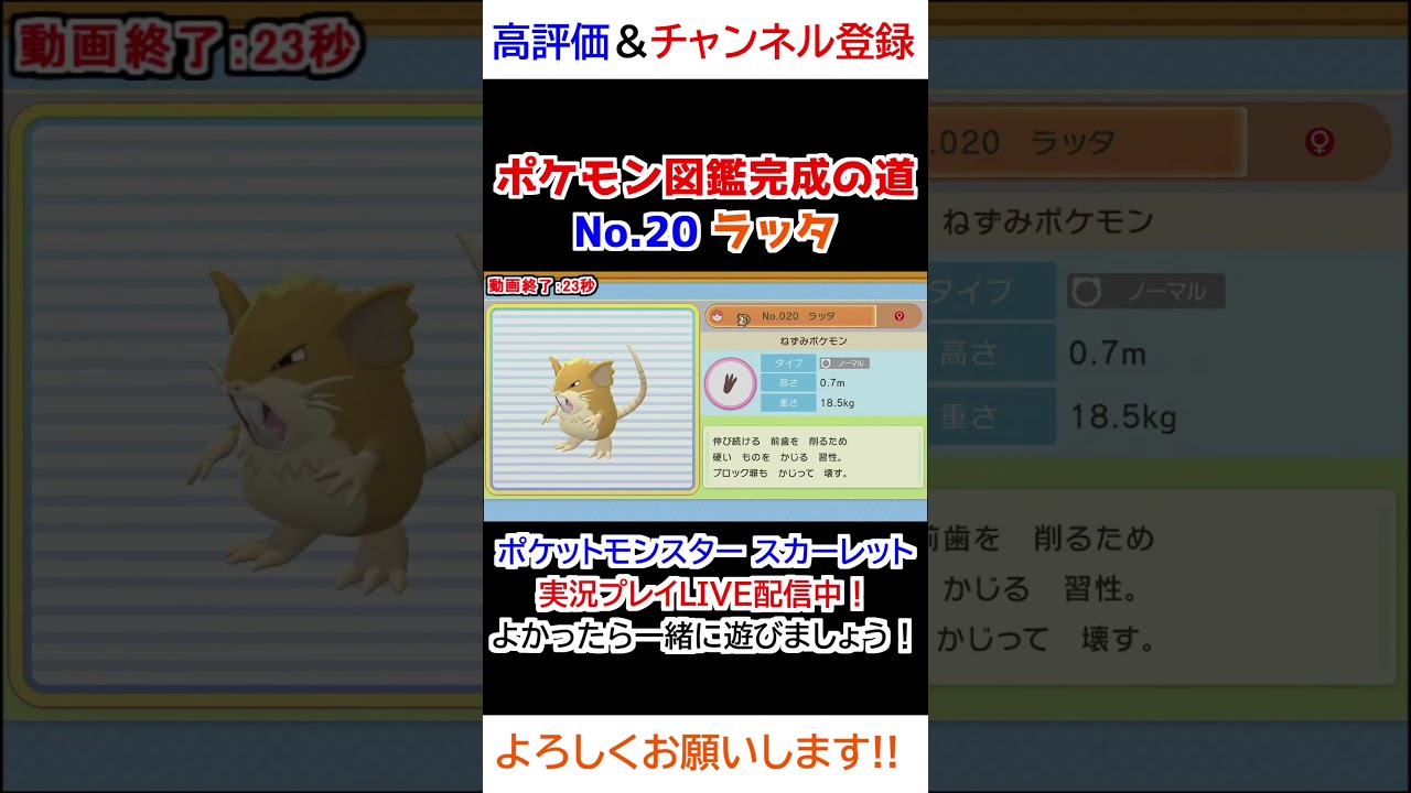 No 20 ラッタ図鑑登録完了！【ポケモンBDSP】