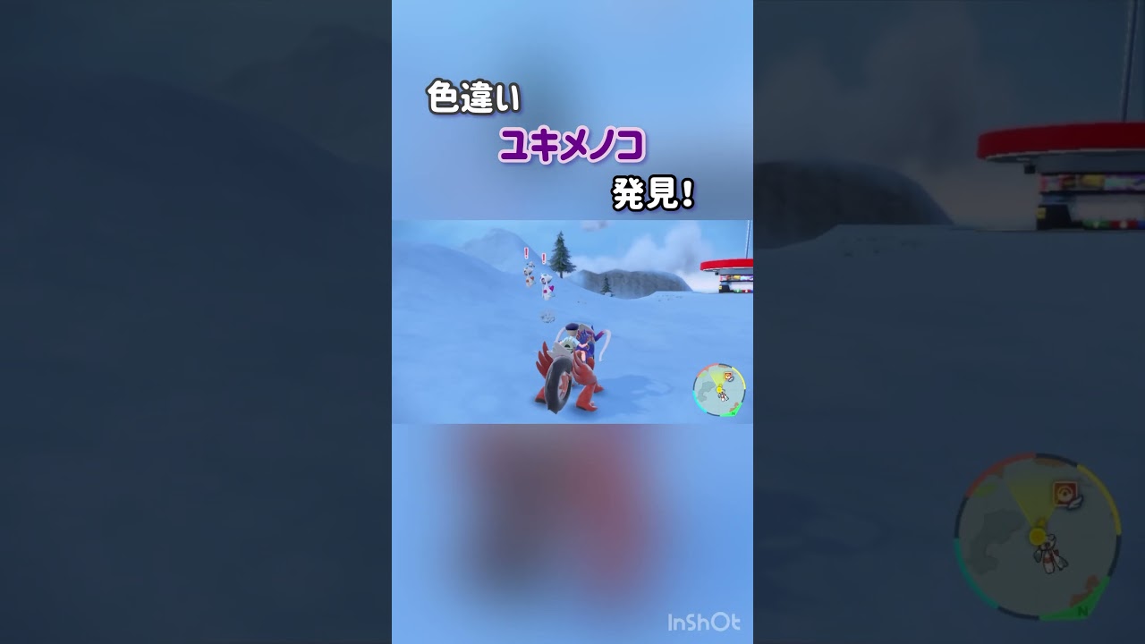 【ポケモンSV】色違いユキメノコ発見！#ポケモンsv #ポケモンスカーレット #ポケモン #ポケットモンスター