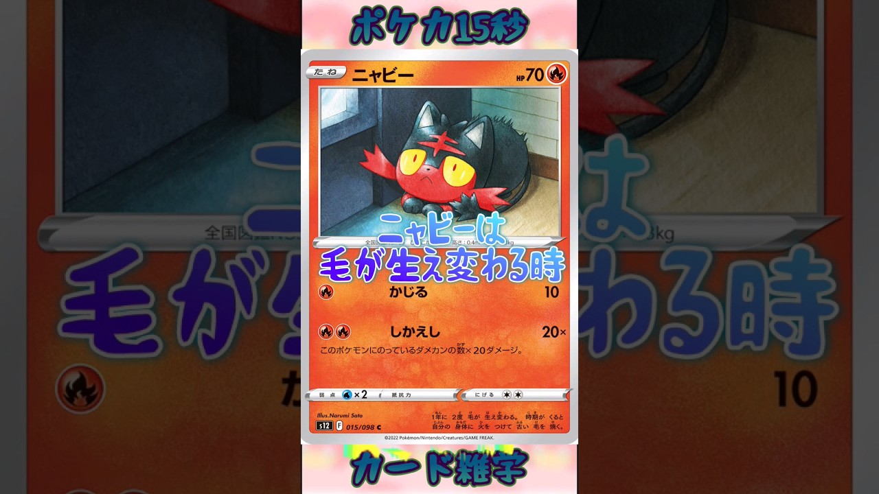 [ポケモンカード]ポケカ15秒雑学‼️ニャビー‼️