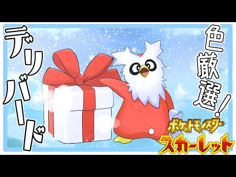 【ポケモンSV】色デリバード探しとフレ戦しよう！！【初見歓迎・参加可能】