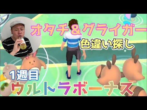ウルトラボーナス遂に解放!!オタチ&グライガー色違い探し!!【ポケモンGO】