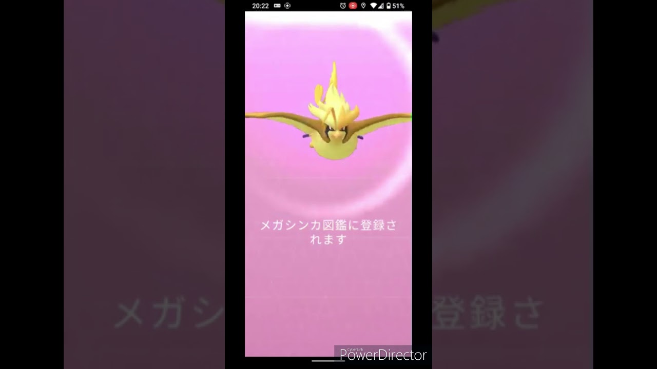 【Pokemon Go】 ♀色違いピジョットを捕まえたので、メガシンカさせてみた！