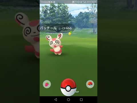 ポケモンGOパッチールかわゆい！