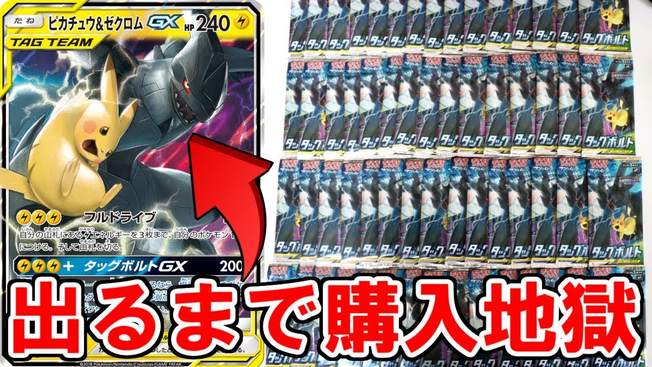 【2box開封】ゼクロムを愛し、ゼクロムに愛されなかった男【ポケモンカード タッグボルト】【ポケカ】