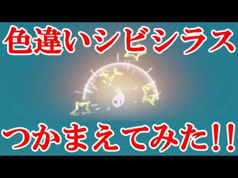 【ポケモンSV】色違いシビシラスつかまえてみた！！