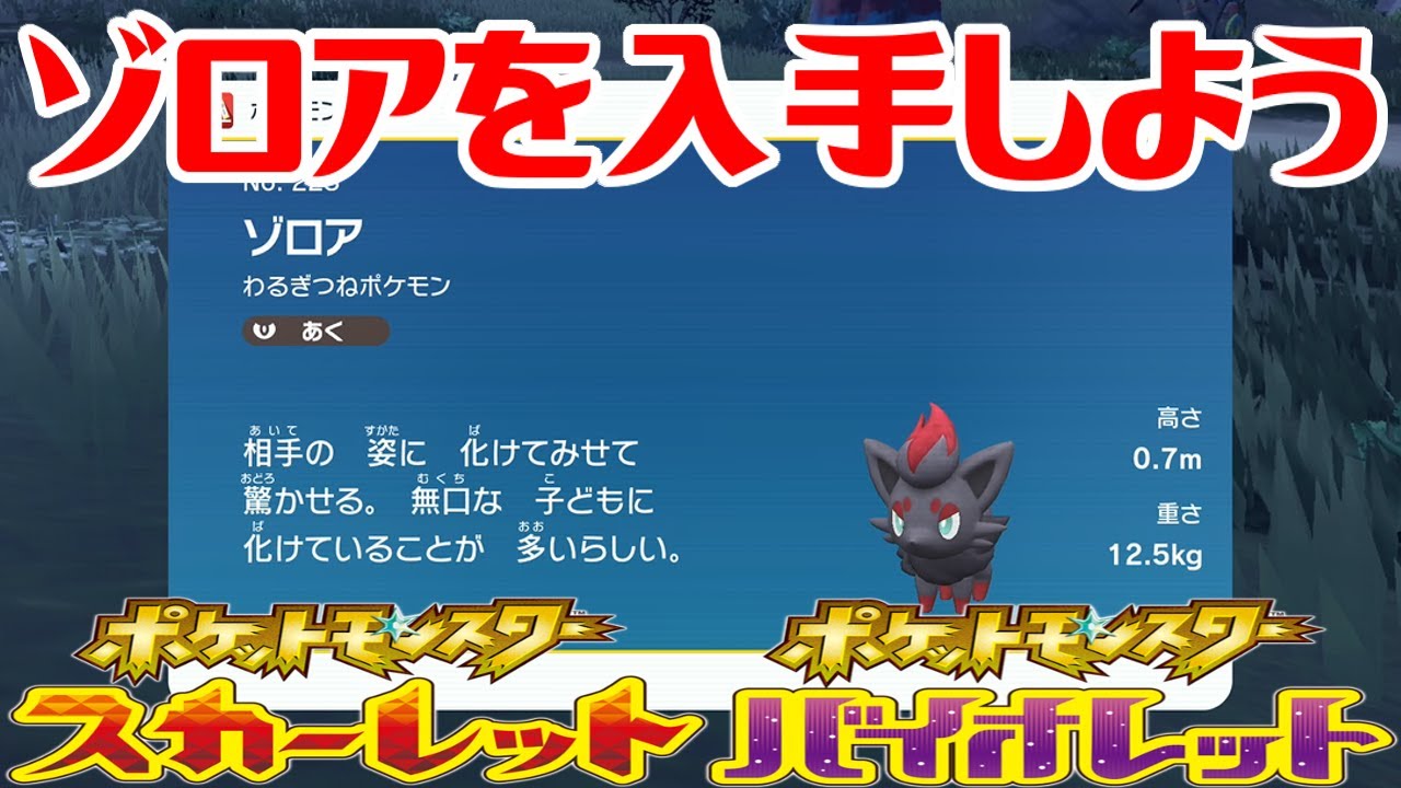 【ポケモンSV】ゾロアを入手しよう【ポケットモンスター スカーレット・バイオレット】Pocket Monsters