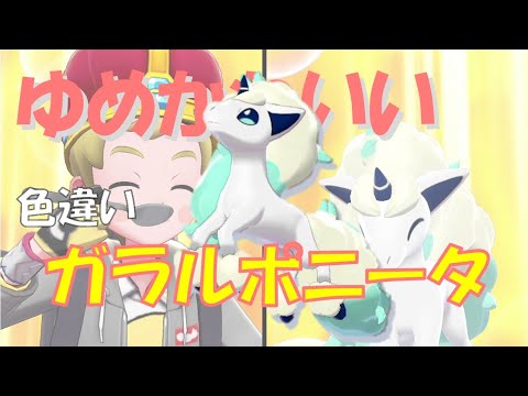 色違いガラルポニータが可愛すぎる！！！国際孵化で色違い厳選！？【ポケモン剣盾】ラブラブボールで厳選(*´▽｀*)