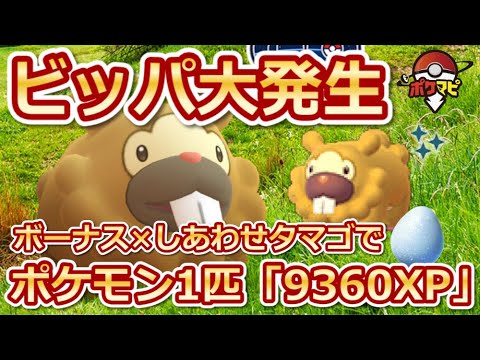 【ポケモンGO】色違いビッパ初登場！ボーナス×しあわせタマゴを使うと経験値8倍でポケモン1匹から「9360XP」獲得可能！今後ビッパが必要になる時が来る…？