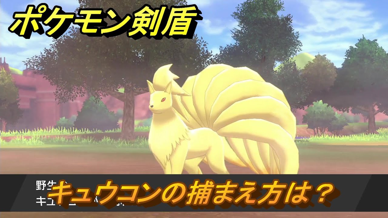 ポケモン剣盾　キュウコンの出現場所は？オススメの場所は？天気は？ポケモン図鑑コンプへの道！　最新版【ポケモンソード・シールド】